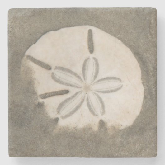 Sand-Dollar (Echinarachnius parma) Steinuntersetzer (Vorderseite)