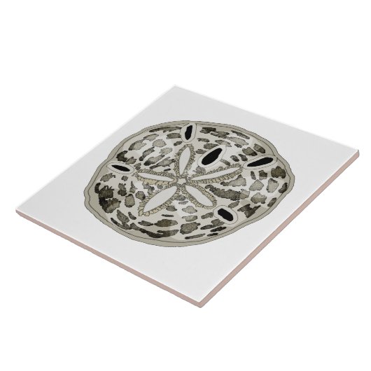 Sand Dollar Fliese (Seite)