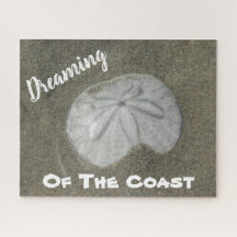 Sand-Dollar-Foto Sandstrand Naturküste