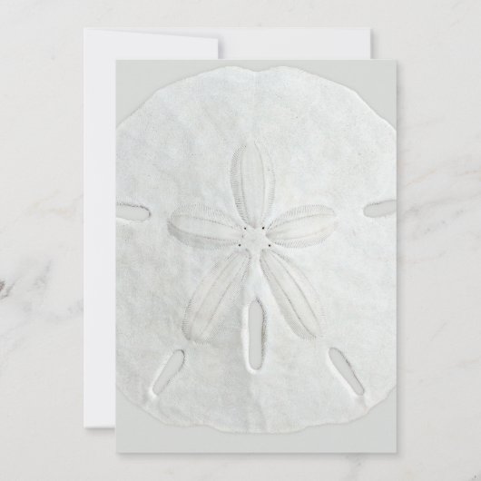 Sand Dollar Geburtstagsparty Einladung (Rückseite)