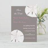 Sand Dollar Grau Pink Save the Date (Stehend Vorderseite)