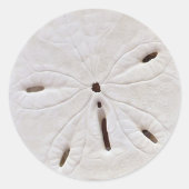 Sand-Dollar-Hochzeitsticker Runder Aufkleber (Vorderseite)