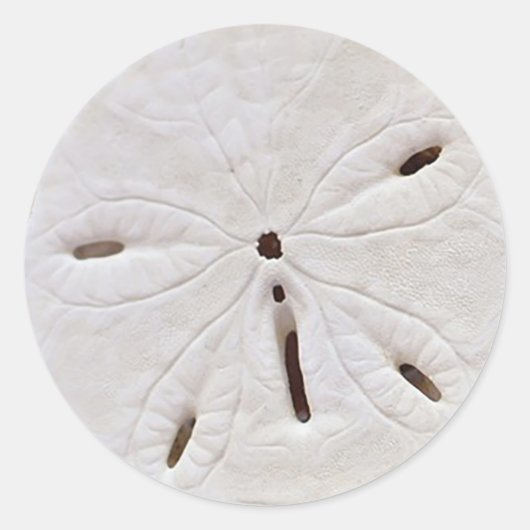 Sand-Dollar-Hochzeitsticker Runder Aufkleber (Vorderseite)
