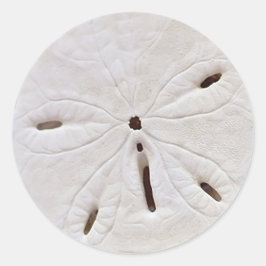 Sand-Dollar-Hochzeitsticker Runder Aufkleber