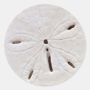 Sand-Dollar-Hochzeitsticker Runder Aufkleber