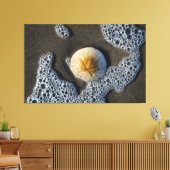 Sand Dollar im Surf Beach Leinwand Art Foto (Insitu (Wohnzimmer))