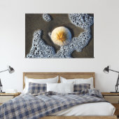 Sand Dollar im Surf Beach Leinwand Art Foto (Insitu (Schlafzimmer))