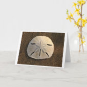 Sand-Dollar-Karte (Farbe) Karte (Gelbe Blume)