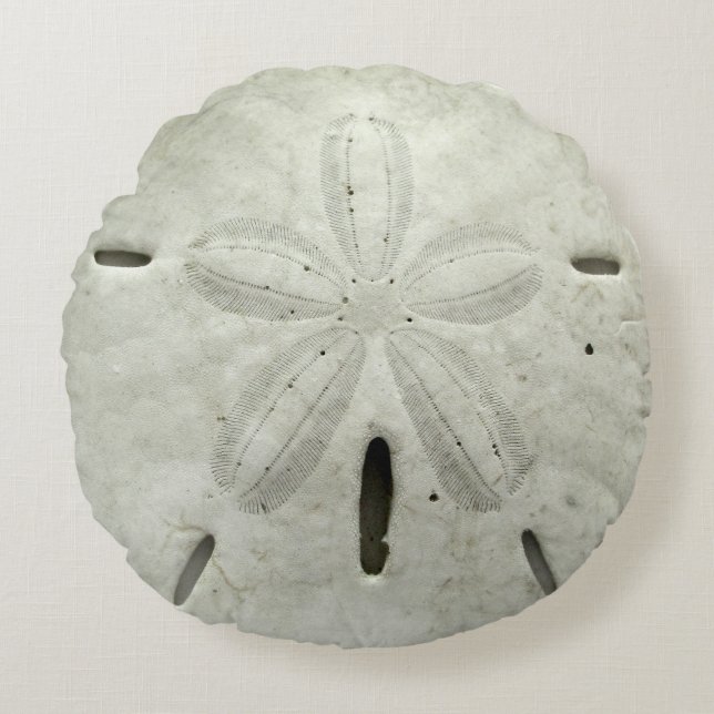 Sand-Dollar-Kissen Rundes Kissen (Vorderseite)