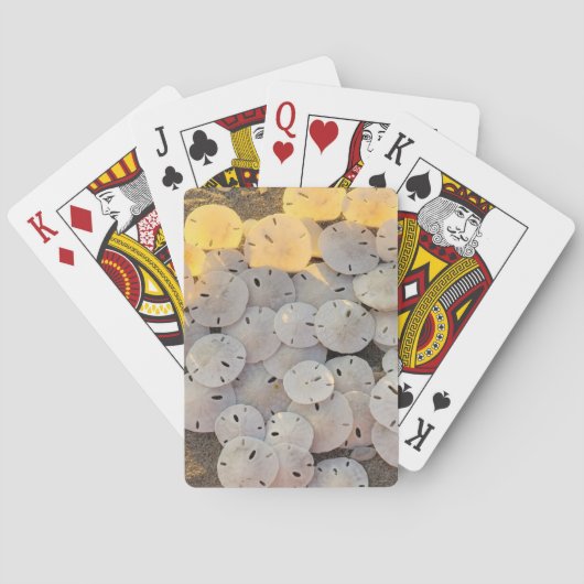 Sand-Dollar-Klassiker-Spielkarten Spielkarten (Rückseite)