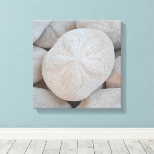Sand Dollar Leinwand Art (Insitu (Holzboden))