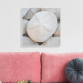 Sand Dollar Leinwand Art (Insitu (Wohnzimmer))