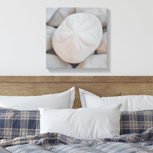 Sand Dollar Leinwand Art (Insitu (Schlafzimmer))