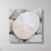 Sand Dollar Leinwand Art (Vorderseite)