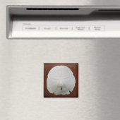 Sand Dollar Magnet (In Situ (Geschirrspüler))