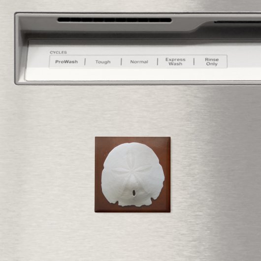 Sand Dollar Magnet (In Situ (Geschirrspüler))