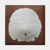 Sand Dollar Magnet (Vorne)