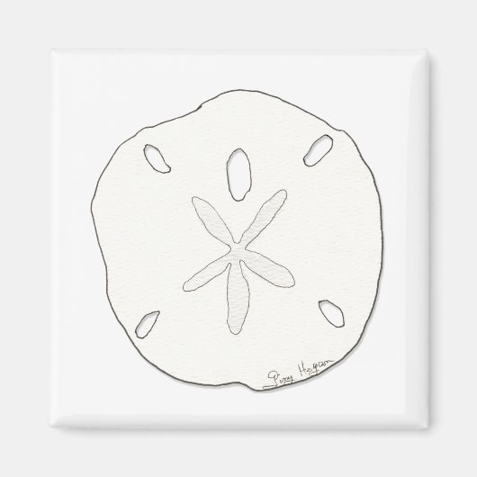 Sand Dollar Magnet (Vorne)