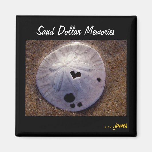 Sand Dollar Magnet (Vorne)