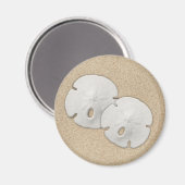 Sand Dollar Magnet (Vorderseite/Rückseite)