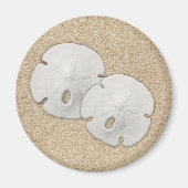 Sand Dollar Magnet (Vorne)