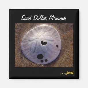 Sand-Dollar-Magnet Magnet