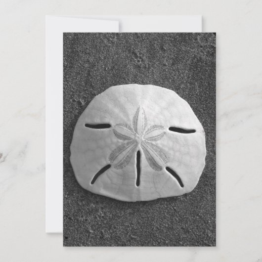 Sand Dollar Muschel Beach Einladung (B&W Foto) (Vorderseite)