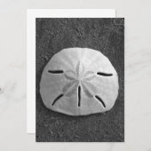 Sand Dollar Muschel Beach Einladung (B&W Foto) (Vorne/Hinten)
