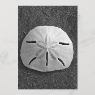 Sand Dollar Muschel Beach Einladung (B&W Foto)