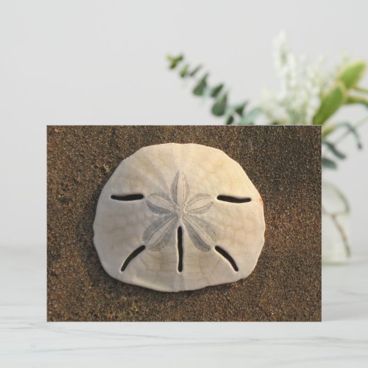 Sand Dollar Muschel Beach Einladung (Color Foto) (Stehend Vorderseite)