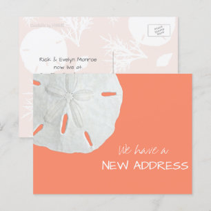 Sand-Dollar-Neue-Adresse-Ankündigungspostkarte Ankündigungspostkarte