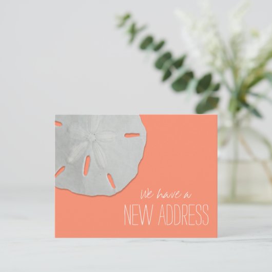 Sand Dollar New Address Ankündigung Postkarte (Stehend Vorderseite)