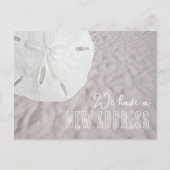 Sand Dollar New Address Ankündigung Postkarte (Vorderseite)
