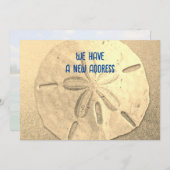 Sand Dollar New Address Announccard Einladung (Vorne/Hinten)