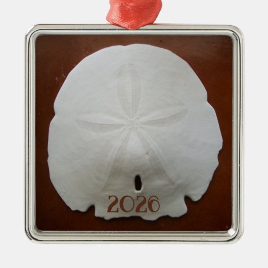 Sand Dollar Ornament (Vorne)