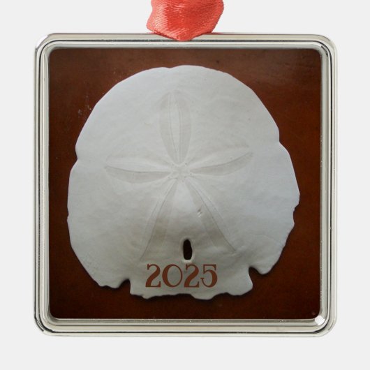 Sand Dollar Ornament (Vorne)