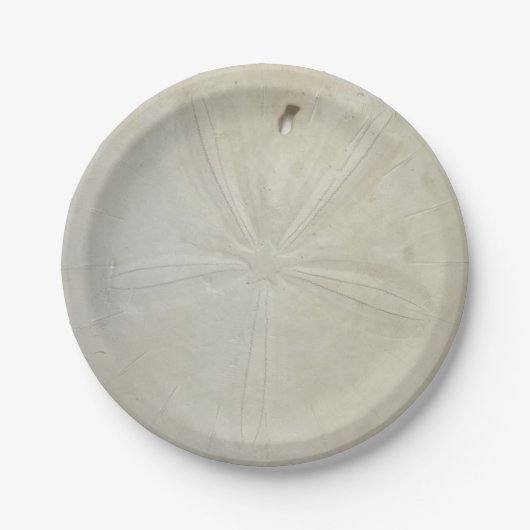 Sand-Dollar-Papierplatte Pappteller (Vorderseite)