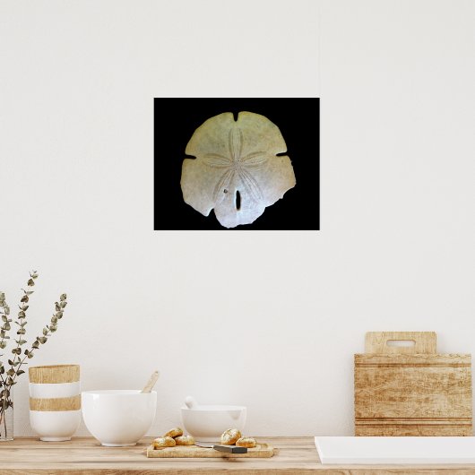 Sand Dollar Poster (Küche)