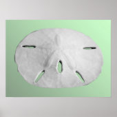 Sand Dollar Poster (Vorne)