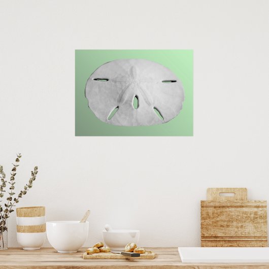 Sand Dollar Poster (Küche)