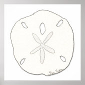 Sand Dollar Posters & Prints Poster (Vorne)