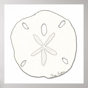 Sand Dollar Posters & Prints Poster