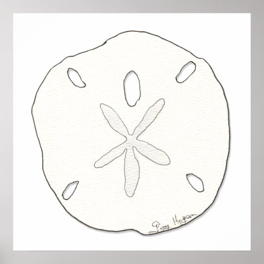 Sand Dollar Posters & Prints Poster (Vorne)