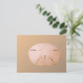 Sand Dollar Postkarte (Stehend Vorderseite)