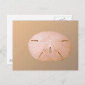 Sand Dollar Postkarte (Vorne/Hinten)