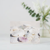 Sand Dollar Postkarte (Stehend Vorderseite)