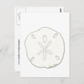 Sand Dollar Postkarte (Vorne/Hinten)