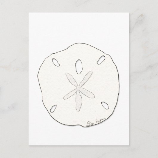 Sand Dollar Postkarte (Vorderseite)