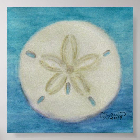 Sand Dollar Print Poster (Vorne)
