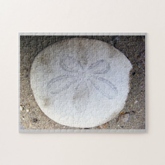 Sand-Dollar Puzzle (Horizontal)